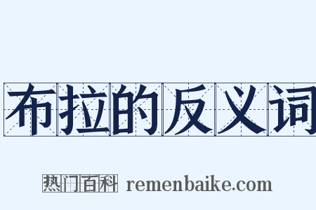 布拉的反义词是什么意思的图片